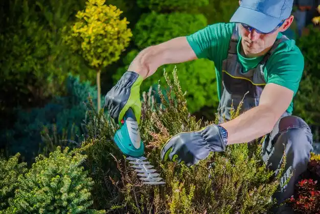 landscaping services Northville